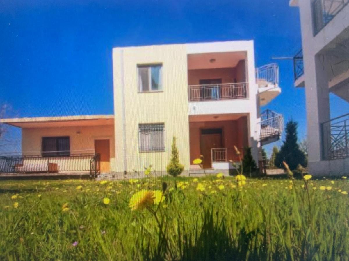 Shyqi Apartments Velipojë Extérieur photo